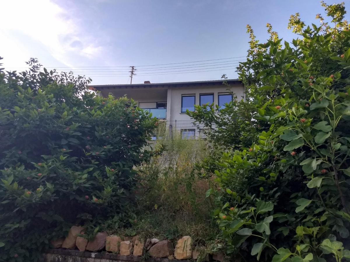 Ferienhaus Fraeulein Frenz بولندورف المظهر الخارجي الصورة