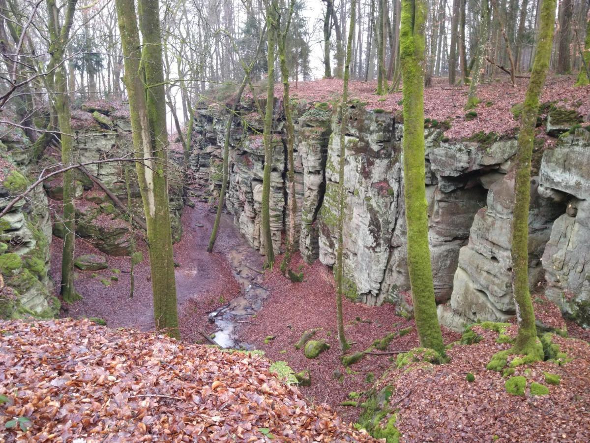 Ferienhaus Fraeulein Frenz بولندورف المظهر الخارجي الصورة